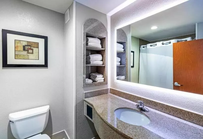 Отель Holiday Inn Express And Suites Pryor, An Ihg