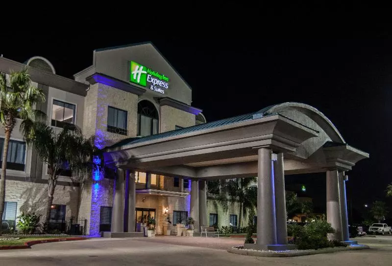 酒店 Holiday Inn Express Houston Alvin, An Ihg