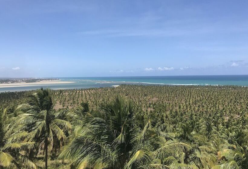 ホテル Hilton Garden Inn Maceio