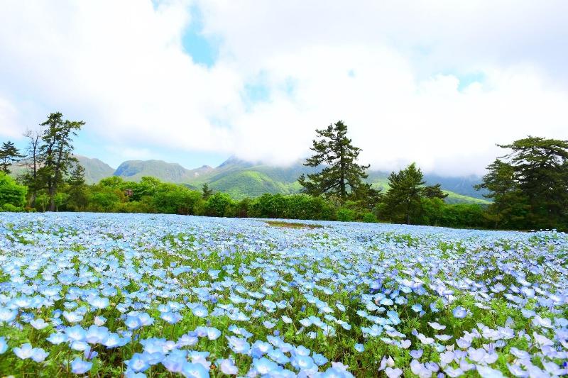 ホテル Ryokan Okunoyu