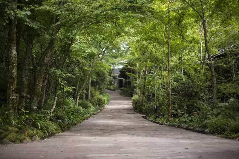 Отель Ryokan Okunoyu