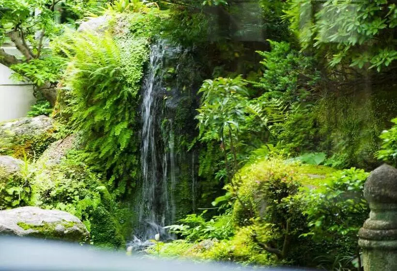 בית מלון כפרי Shiragiku