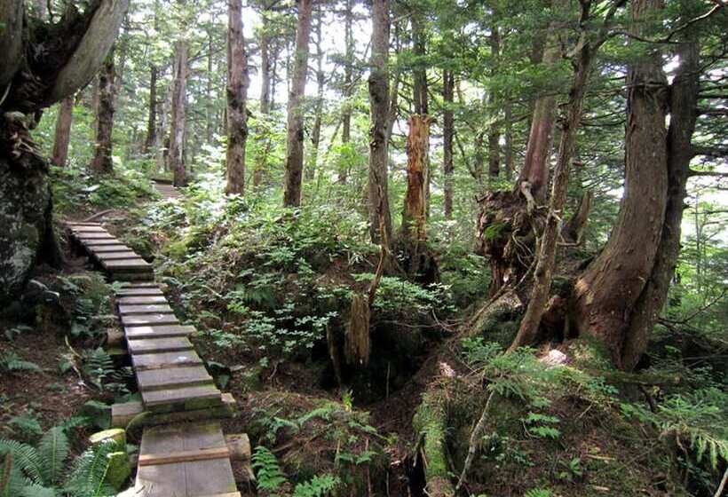 فندق Shirakabaso Shigakogen