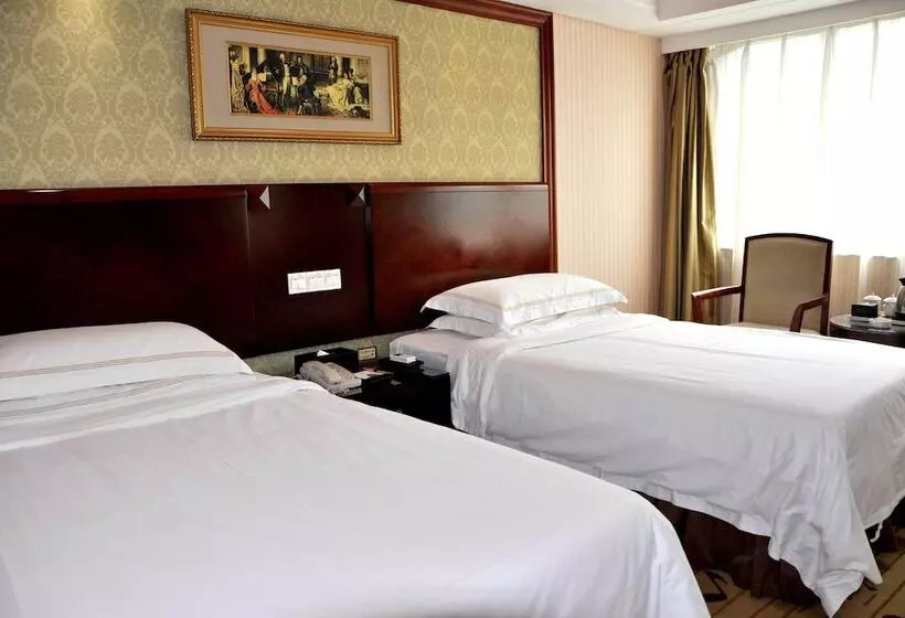 בית מלון כפרי Vienna