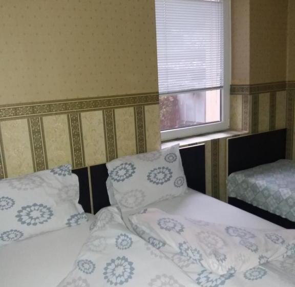 Sofia Alegra Hostel Familys