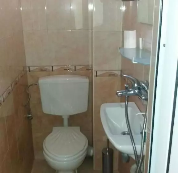 Sofia Alegra Hostel Familys