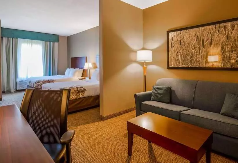 酒店 Best Western Dothan Inn & Suites