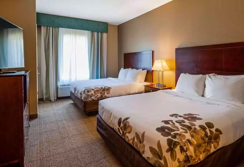 酒店 Best Western Dothan Inn & Suites