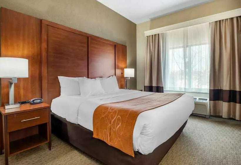 בית מלון כפרי Comfort Suites Merrillville Near Us 30