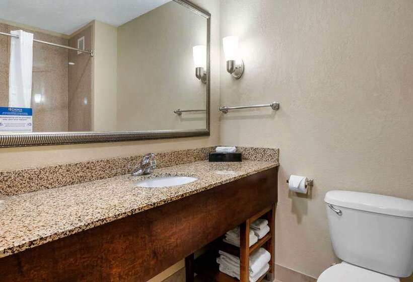 酒店 Comfort Suites Merrillville Near Us 30