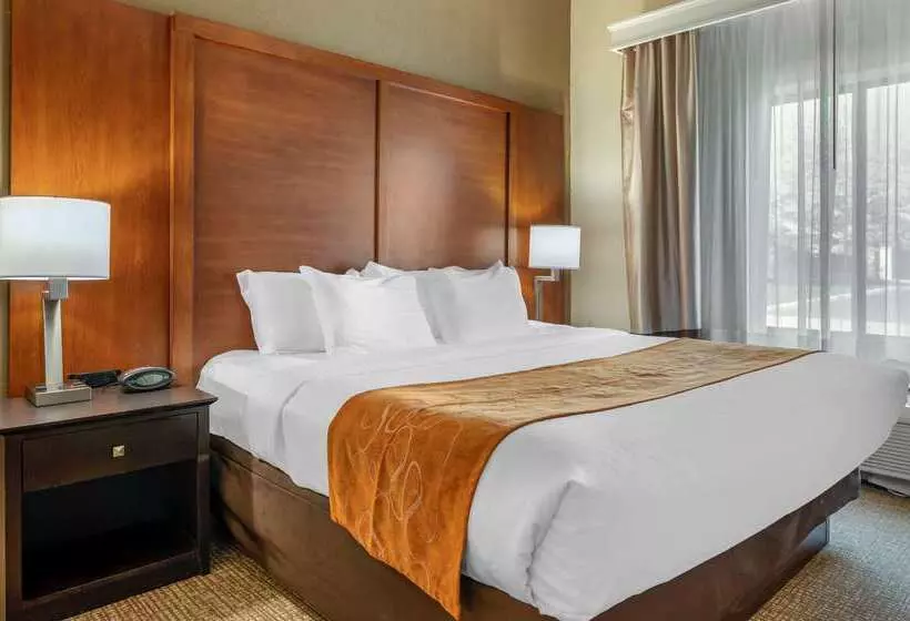בית מלון כפרי Comfort Suites Merrillville Near Us 30