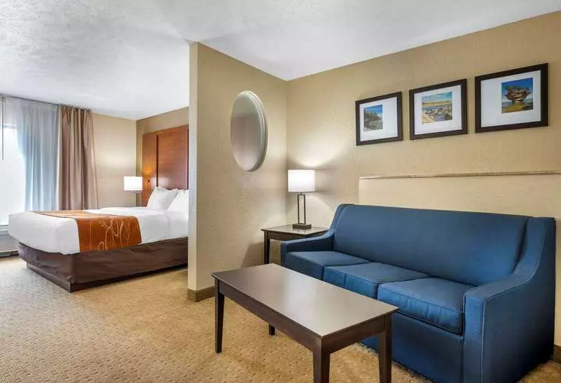בית מלון כפרי Comfort Suites Merrillville Near Us 30