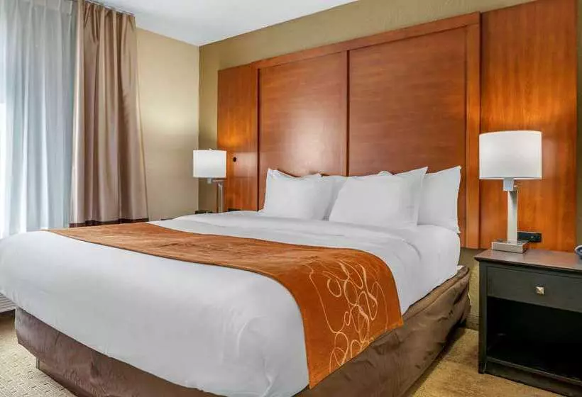 בית מלון כפרי Comfort Suites Merrillville Near Us 30