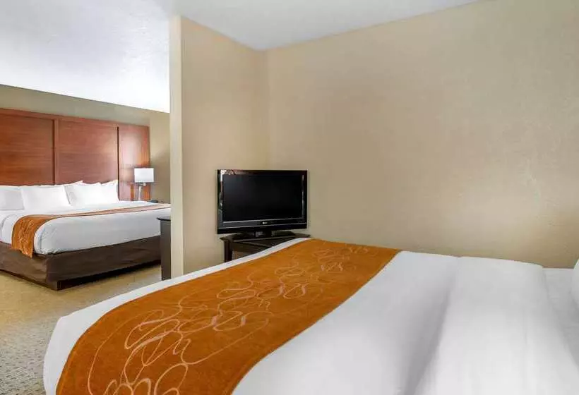 בית מלון כפרי Comfort Suites Merrillville Near Us 30