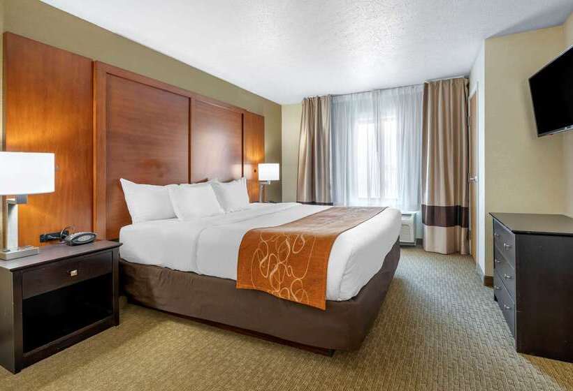 酒店 Comfort Suites Merrillville Near Us 30