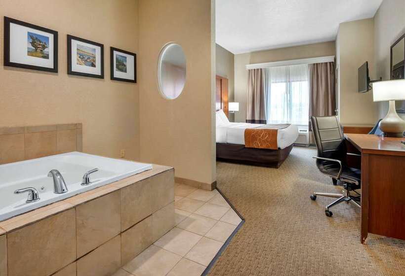 酒店 Comfort Suites Merrillville Near Us 30
