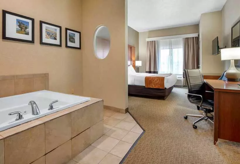 בית מלון כפרי Comfort Suites Merrillville Near Us 30