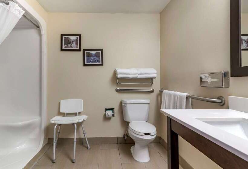 فندق Comfort Suites Near Robins Air Force Base