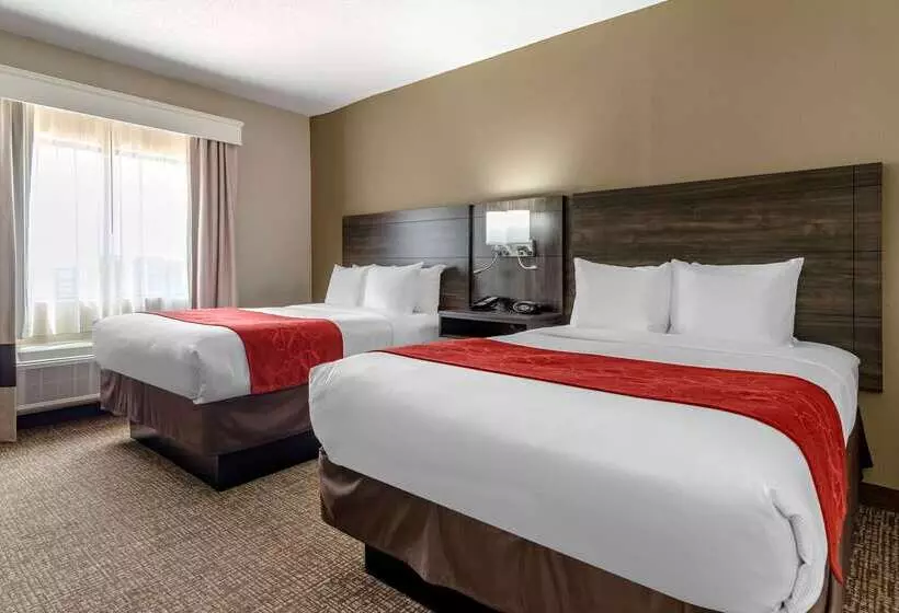 هتل Comfort Suites Near Robins Air Force Base