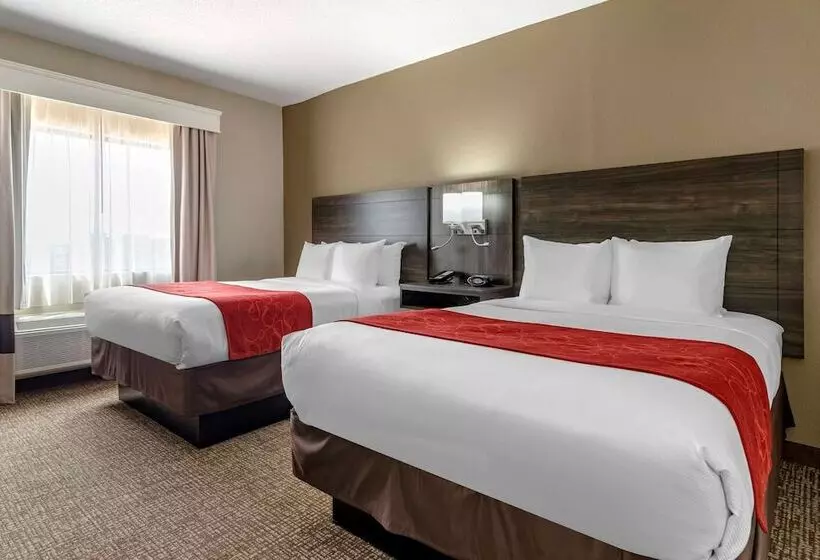 هتل Comfort Suites Near Robins Air Force Base