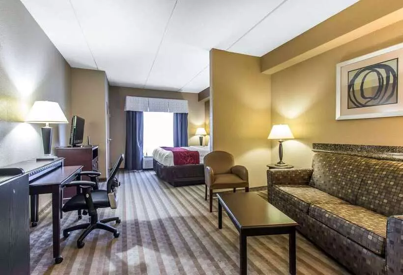 Отель Comfort Suites Smyrna
