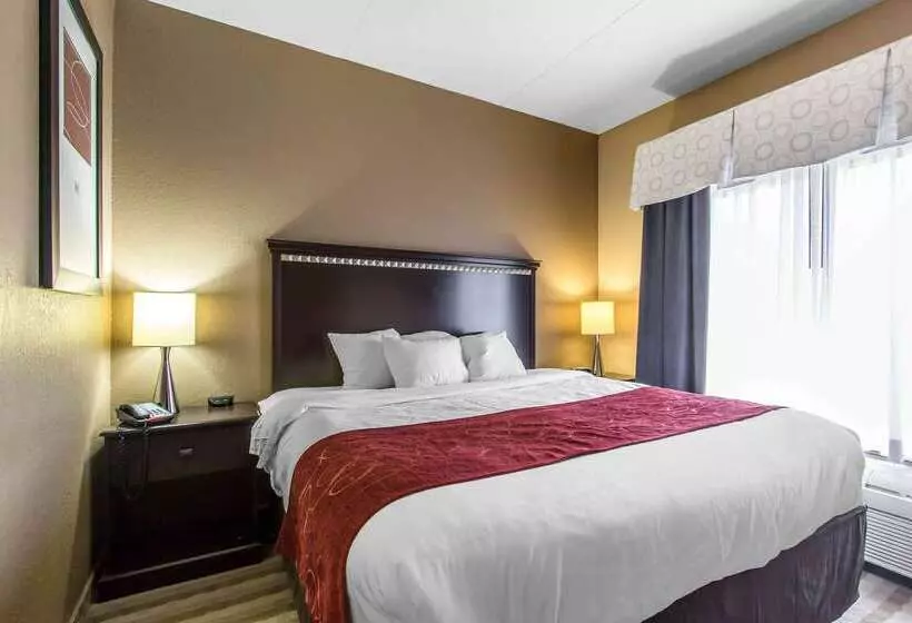 Отель Comfort Suites Smyrna