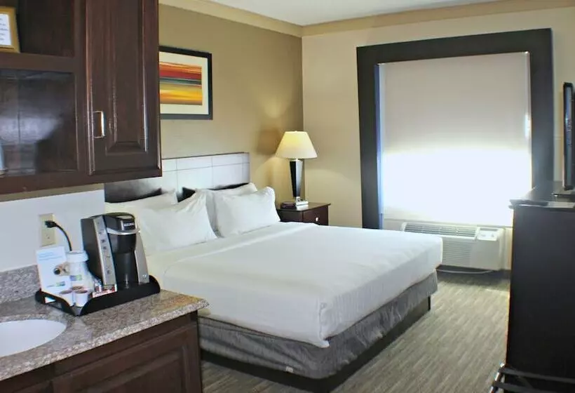 Holiday Inn Express Hotel & Suites Plainview, An Ihg