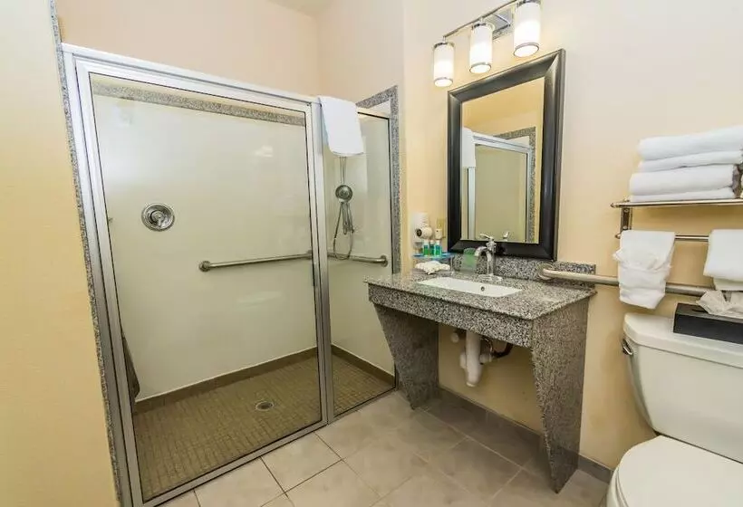 Hotell Holiday Inn Express Houston Space Center Clear Lake, An Ihg