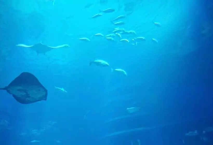 ホテル Toyoko Inn Osaka Semba Higashi