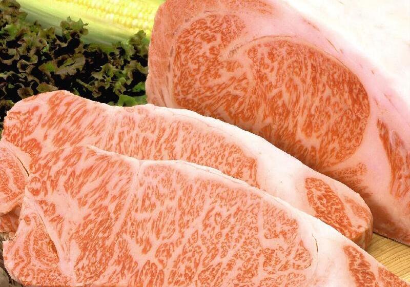 Hoho A Hotel Overlooking The Echigo Plain And The Yahiko Mountain Range Formerly Hotel Oohashi Yakat