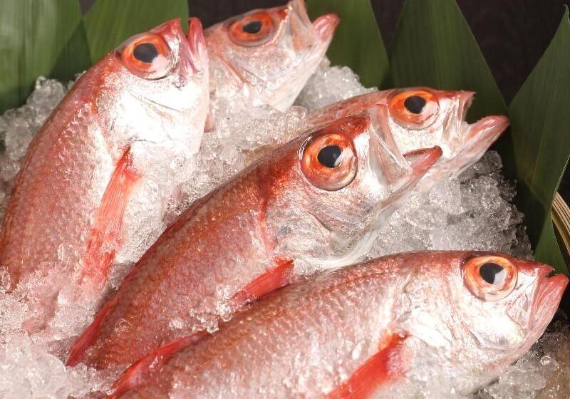 Hoho A Hotel Overlooking The Echigo Plain And The Yahiko Mountain Range Formerly Hotel Oohashi Yakat