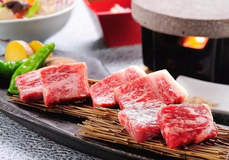 Hoho A Hotel Overlooking The Echigo Plain And The Yahiko Mountain Range Formerly Hotel Oohashi Yakat