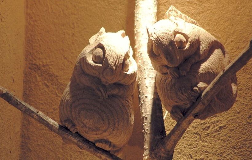 Hotel Akan Tsuruga Besso Hinanoza