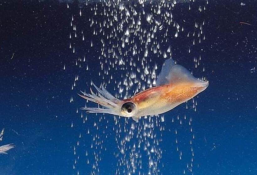 Apa Hotel Uozu Ekimae