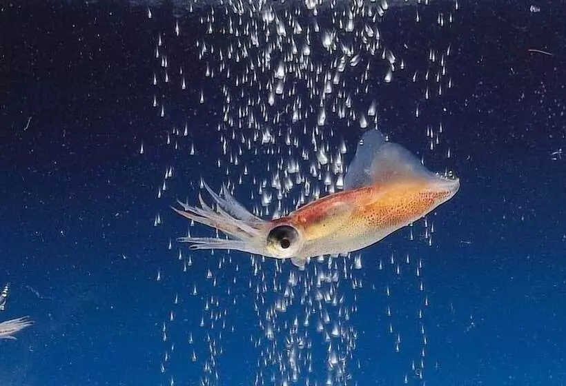 Apa Hotel Uozu Ekimae