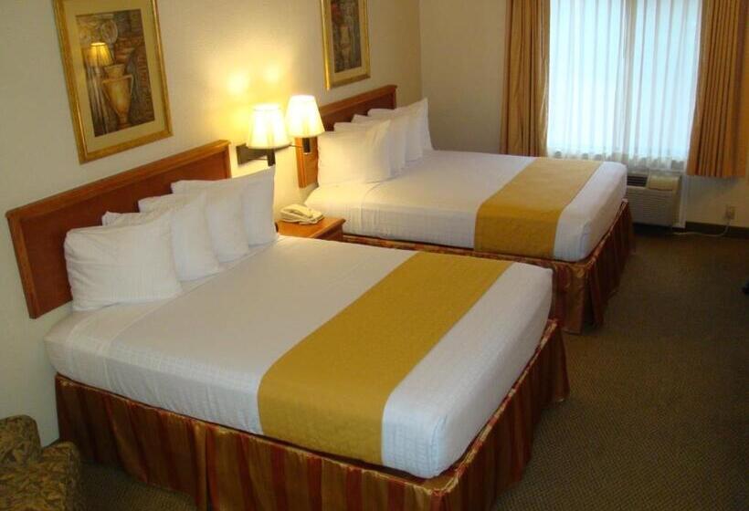 בית מלון כפרי Best Western Executive Inn & Suites