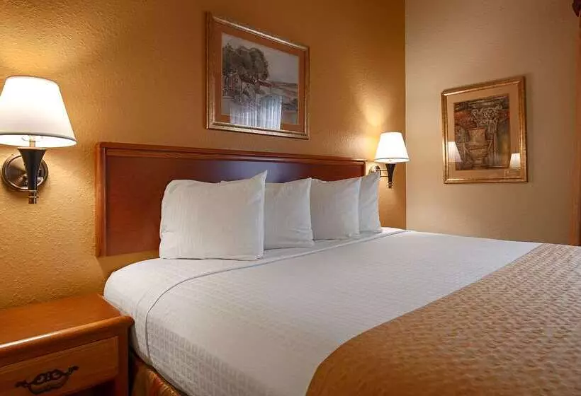 فندق Best Western Executive Inn & Suites