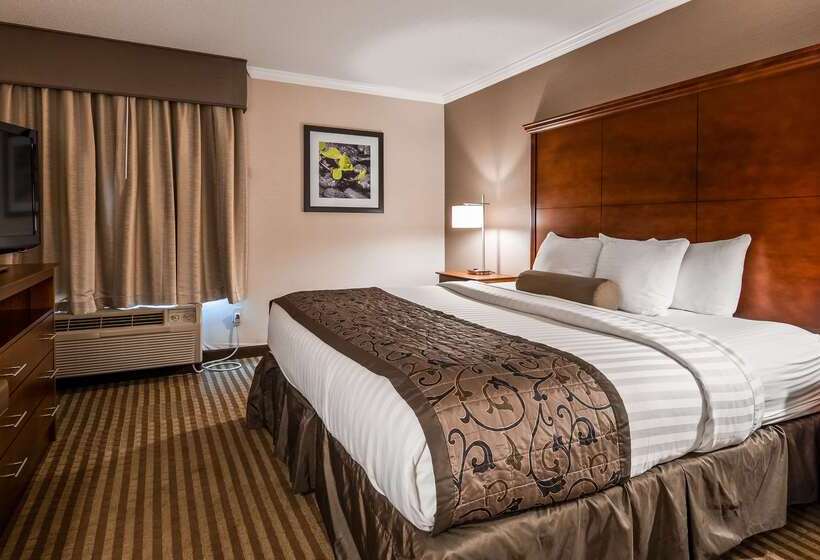 فندق Best Western Liverpool Syracuse Inn & Suites