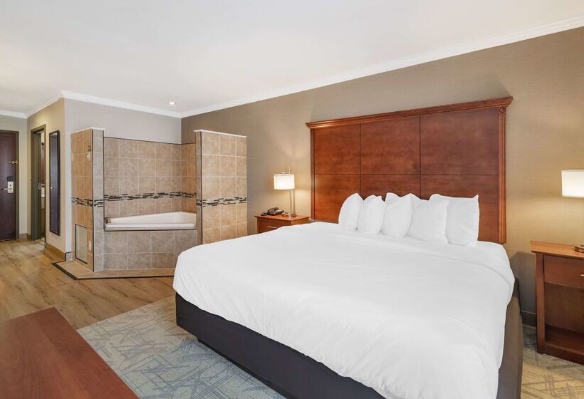 فندق Best Western Liverpool Syracuse Inn & Suites