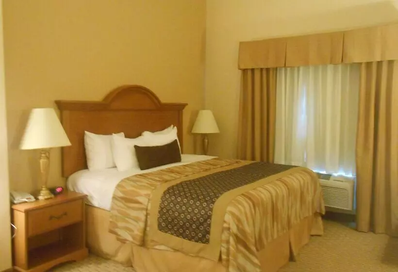 호텔 Best Western Plus New Caney Inn & Suites