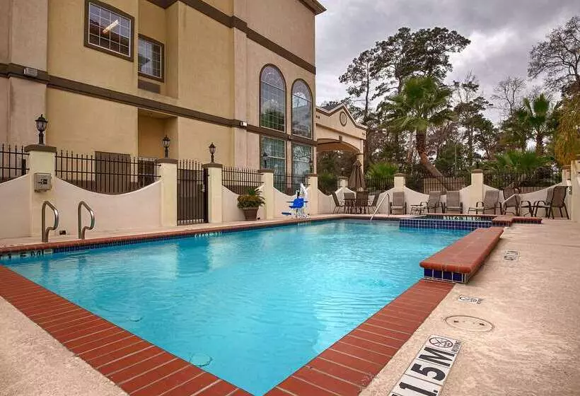 호텔 Best Western Plus New Caney Inn & Suites