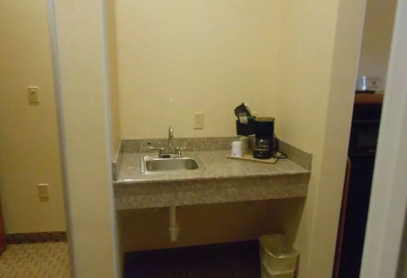 호텔 Best Western Plus New Caney Inn & Suites