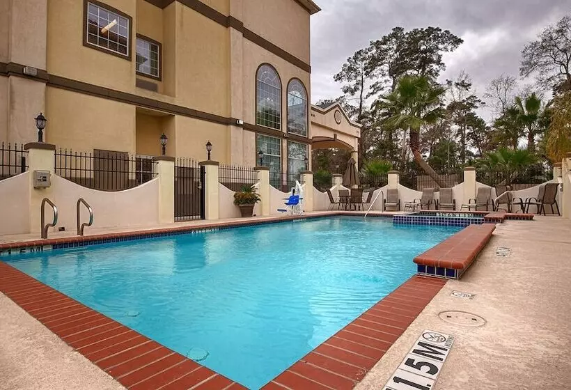 호텔 Best Western Plus New Caney Inn & Suites