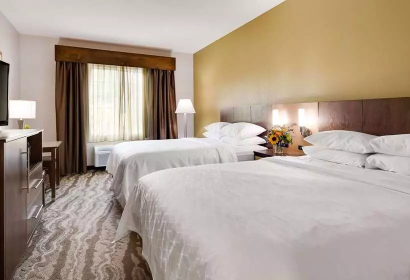 호텔 Best Western Plus River Escape Sylva / Dillsboro