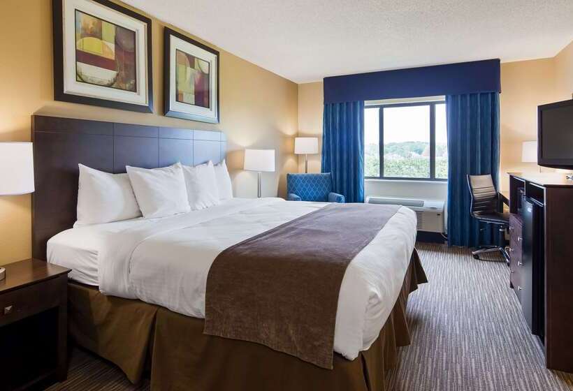 فندق Best Western Port Huron Blue Water Bridge