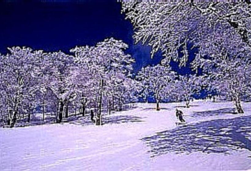 בית מלון כפרי De Premiere Minowa