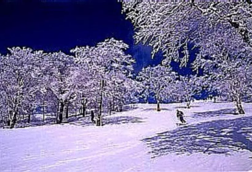 Отель De Premiere Minowa