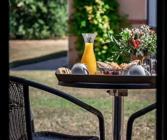 酒店 Hôtel & Séminaire Le Patio Occitan Toulouse Ouest Francazal