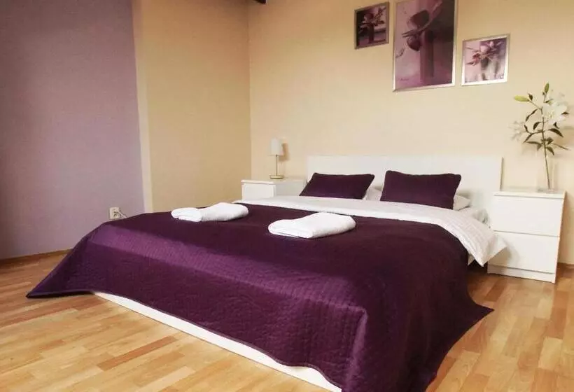 Общежитие Blooms Inn & Apartments