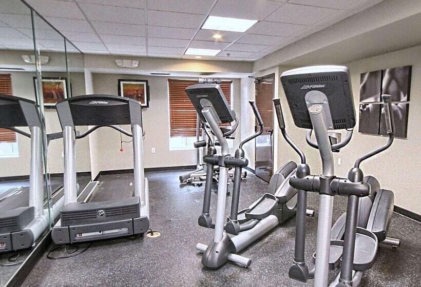 בית מלון כפרי Country Inn & Suites By Radisson, Dearborn, Mi